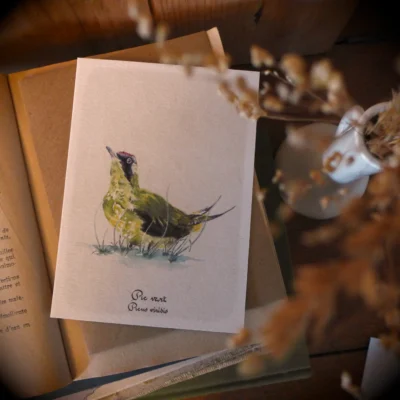 Pic vert - Grand'Air