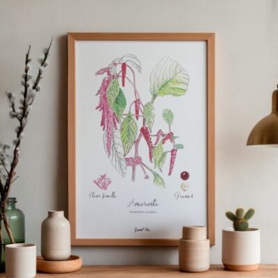 AFFICHE AMARANTE - GRAND'AIR