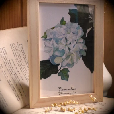 Print Viorne aubier - Grand'Air