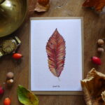 CARTE CHÂTAIGNIER - AUTOMNE - GRAND'AIR