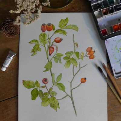 ÉGLANTIER - GRAND'AIR