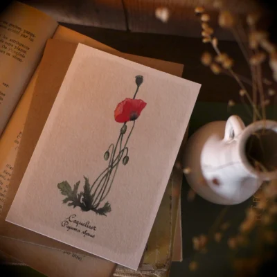 CARTE COQUELICOT - GRAND'AIR