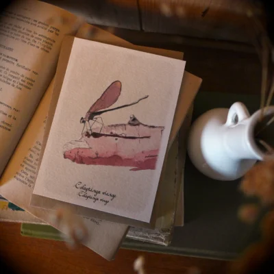 DEMOISELLE - GRAND'AIR