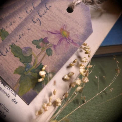 Étiquettes Vintage Anémone du Japon - Grand'Air