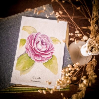 Camélia - Grand'Air