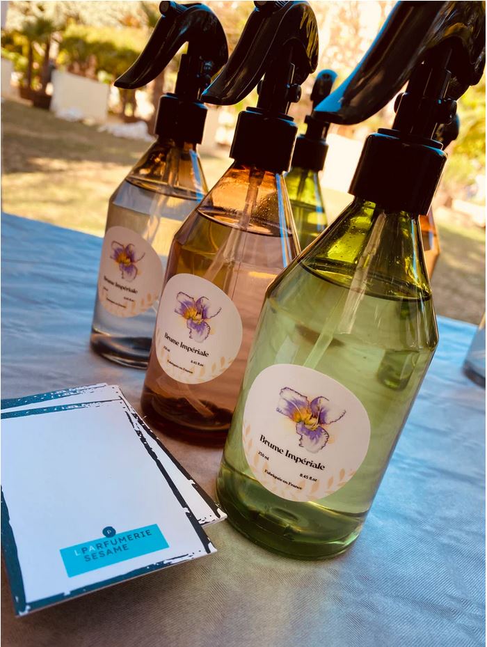 Illustration Hémérocalle pour Sésame - Grand'Air