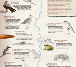 EXPOSITION VALLEE DE LA MEUSE - CD55