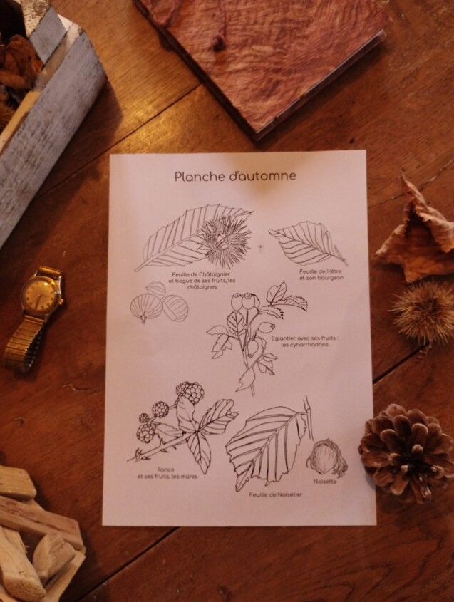 COLORIAGE D'AUTOMNE - GRAND'AIR