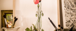 PRINT FINE ART COQUELICOT - GRAND'AIR